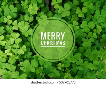 Merry Christmas in Clover Background - Shutterstock ID 532701775