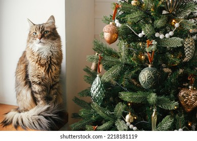 Merry Christmas! Cute cat sitting at stylish christmas tree with vintage baubles. Pet and winter holidays. Adorable tabby cat on wooden window sill near decorated tree in festive room - Powered by Shutterstock