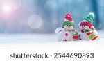 Merry Christmas and happy new year greeting card .Two cheerful snowman standing in winter.