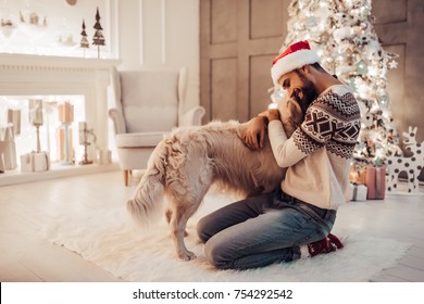 Merry Christmas and Happy New Year! Handsome man is sitting near beautiful Christmas tree at home and hugging with dog labrador retriever.