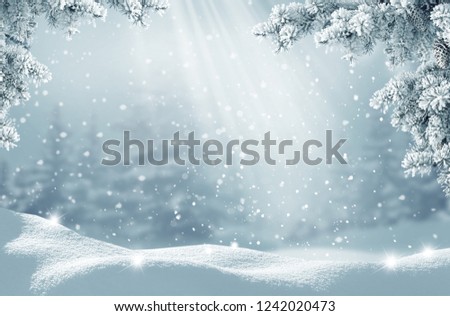 Similar – Image, Stock Photo winter dream Winter firs