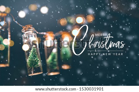 Merry Christmas and happy new year concept, Close up, Elegant Christmas tree in glass jar decoration.