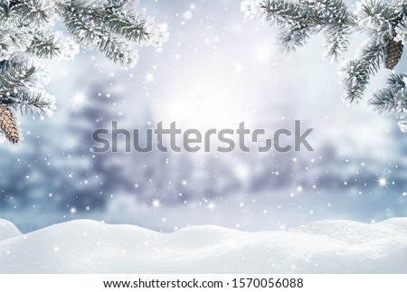 Merry Christmas and happy new year greeting card. Winter landscape with snow .Christmas background with fir tree branch and cones 