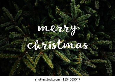 Merry christmas postcard text pine background  - Shutterstock ID 1154885047