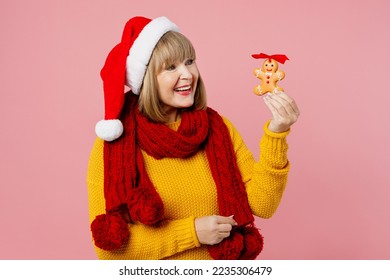 Merry elderly woman 50s year old wearing yellow knitted sweater red scarf Santa hat posing hold look at cookie ginger bread man isolated on plain pink background Happy New Year Christmas 2023 concept - Powered by Shutterstock