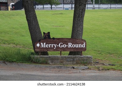 Merry Go Round Bear Mountain New York