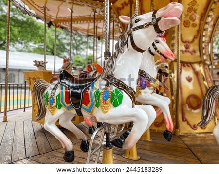 Merry Go Round carousel At Local County Fair in Indonesia. Colorful carousel horse on a vintage illuminated roundabout carousel (merry go round) in a park