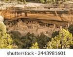 Mesa Verde National Park. Falling blocks of rock in cliff alcoves became building materials for Ancestral Puebloansand a popular draw. Elements of this image furnished by NASA.