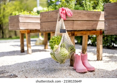 Mesh bag full of fresh vegetables hanging on wooden planter at home garden. Pink rubber boots and gloves. Concept of sustainability and organic homegrown food - Shutterstock ID 2158133649