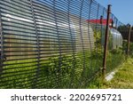 mesh fence in the garden. fence made of black plastic. Close-up fencing