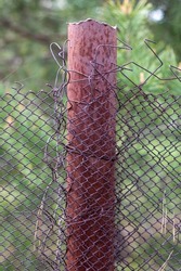 Mesh Old Ragged Cage In The Garden And A Rusty Pole With Green Grass As A Background. Metal Fence With Wire Mesh. Metal Fence Made Of Steel Iron Mesh. Abstract Background. Copy Space