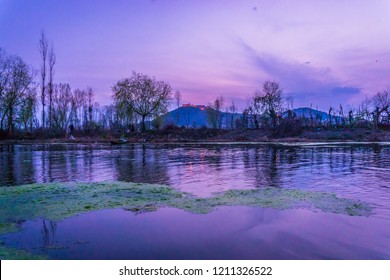 Mesmerising blue hour view of Dal Lake, Srinagar, Kashmir 