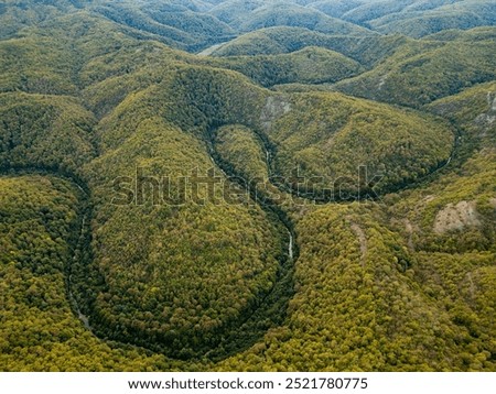 A mesmerizing aerial drone view flying above a dense green forest with rocky cliffs and a hidden river Veleka in Strandzha National Park, Bulgaria, capturing the untouched beauty of nature