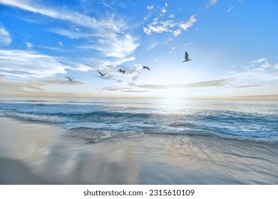 A mesmerizing beach under the blue sky - Powered by Shutterstock