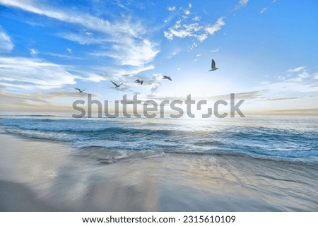 A mesmerizing beach under the blue sky