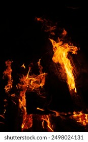 A mesmerizing close up of  bonfire in nature, with flames dancing against black background. heat and flickering flames create  captivating event, reminiscent of  cozy fireplace or campfire