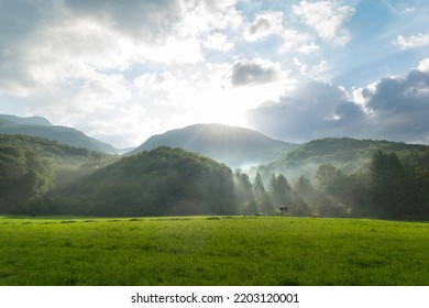 Mesmerizing Rays Of Sun, Haze And Mist Overflowing A Green Valley