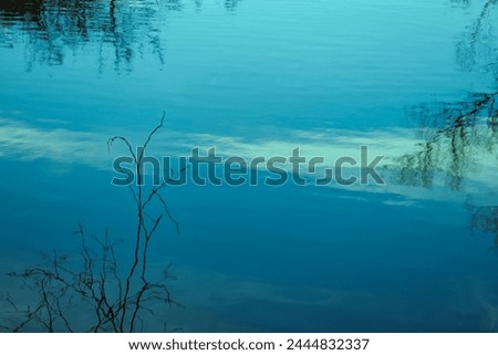 mesmerizing scene lake or pond with wavy reflections tree branches in rippling water, while ripples add touch movement and dynamism, shadow on water, tranquil video, meditation and relaxation