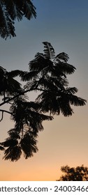 Mesmerizing shot capturing the harmony of a tranquil scene, with a tree branch silhouetted against a canvas of blue and orangish hues in the sky
