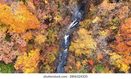 A mesmerizing top-down drone shot of a clear mountain stream flowing through the rugged Nakatsugawa Gorge in Fukushima, Japan. The whitecaps of the flowing water create a beautiful natural contrast against the dark rocks and the vividly colored autumn leaves covering the steep valley walls.
