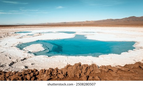 The mesmerizing turquoise waters of Laguna Escondida de Baltinache contrast with the surrounding salt flats and mountains in the Atacama Desert, San Pedro de Atacama, Chile.