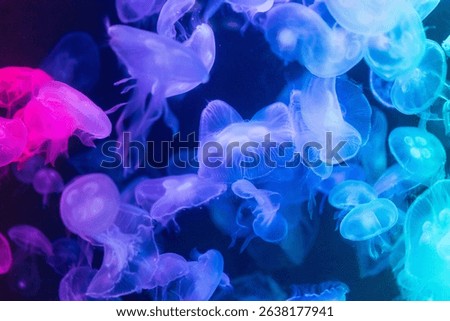 mesmerizing underwater scene featuring a large group of glowing colourful jellyfish illuminated by vibrant blue and green neon lights.