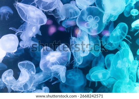 mesmerizing underwater scene featuring a large group of glowing colourful jellyfish illuminated by vibrant blue and green neon lights.