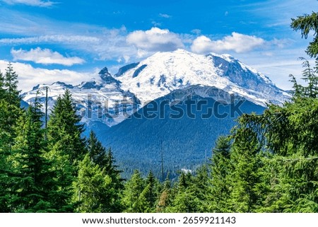 Mesmerizing view of beautiful Mount Rainier National Park in USA. Scenic view of spruce forest and snowy mountains