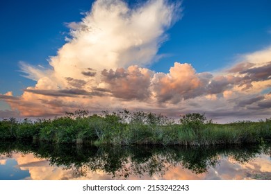 A Mesmerizing View Of Everglades National Park In Florida At Sunset