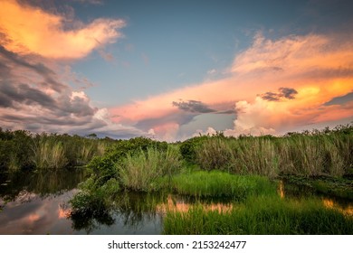 A Mesmerizing View Of Everglades National Park In Florida At Sunset