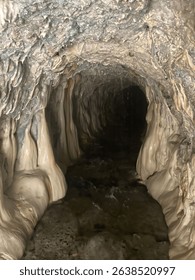 A mesmerizing view inside a natural cave with smooth, flowing formations and subtle lighting.