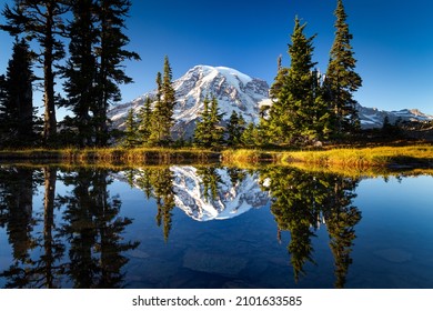 A mesmerizing view of a lake with reflection of snow-capped Mountain Rainier against a clear sky