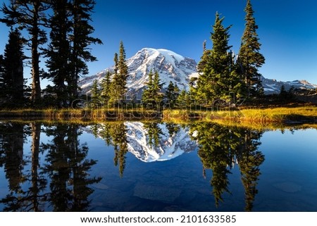 A mesmerizing view of a lake with reflection of snow-capped Mountain Rainier against a clear sky
