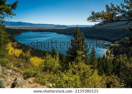 A mesmerizing view of Phelps Lake in Wyoming and the Tetons national park with green trees