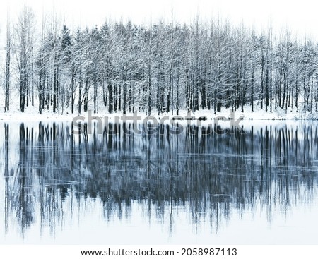 A mesmerizing view of a reflective lake with leafless snow-covered trees in the forest