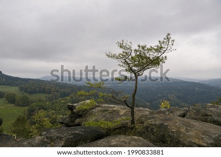 Similar – Image, Stock Photo #A# Saxon Switzerland in the morning
