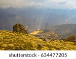 Mesmerizing view of sun-rays falling on ground at  Munsiyari, Uttarakhand, India.