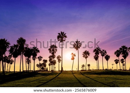 A mesmerizing view of Venice Beach at sunset, with vivid hues painting the sky. Silhouettes of iconic palm trees add a dramatic touch to this serene coastal scene
