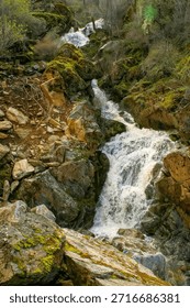 A mesmerizing waterfall cascading down moss-covered rocks, a serene natural scene of water flowing through the rugged terrain,.