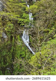 A mesmerizing waterfall falling down the plant-covered rock in spring