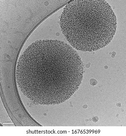 Mesoporous Silica Nanoparticles (MSN) Loaded With Camptothecin Anticancer Drug - Cryo-EM Microscopy