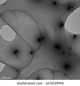 Mesoporous Silica Nanoparticles (MSN) Loaded With Camptothecin Anticancer Drug - Cryo-EM Microscopy