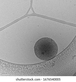 Mesoporous Silica Nanoparticles (MSN) Loaded With Camptothecin Anticancer Drug - Cryo-EM Microscopy