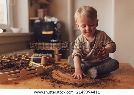 Mess and dirt on a table while little boy is playing with potted seedlings at home.
