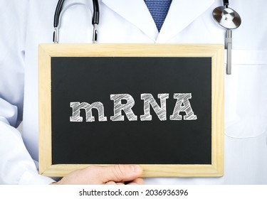 Messenger RNA - Mrna Messenger Ribonucleic Acid