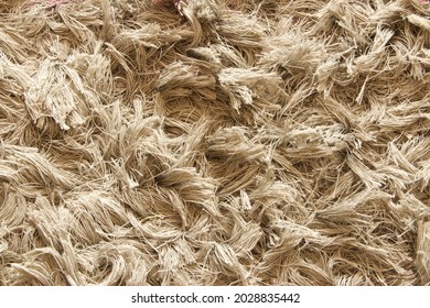 Messy Dirty Old Carpet Texture For Background Usage, With Plenty Empty Copy Space Of Carpet Furry Texture For Text Quote Or Background Usage Of Work Or Project