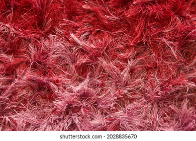 Messy Dirty Old Carpet Texture In Red And Pink Color For Background Usage, With Plenty Empty Copy Space Of Carpet Furry Texture For Text Quote Or Background Usage Of Work Or Project