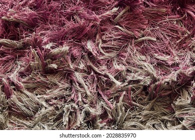 Messy Dirty Old Carpet Texture In Violet Brown Color For Background Usage, With Plenty Empty Copy Space Of Carpet Furry Texture For Text Quote Or Background Usage Of Work Or Project