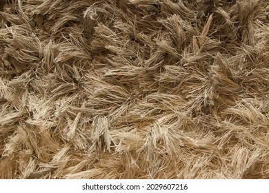 Messy Dirty Old Carpet Texture For Background Usage, With Plenty Empty Copy Space Of Carpet Furry Texture For Text Quote Or Background Usage Of Work Or Project