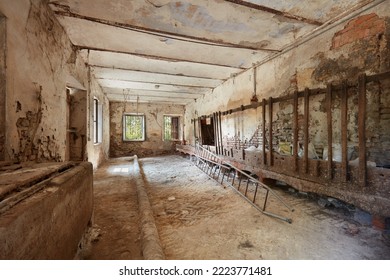 Messy Storage, Former Stable With Damaged Walls In Old Country House